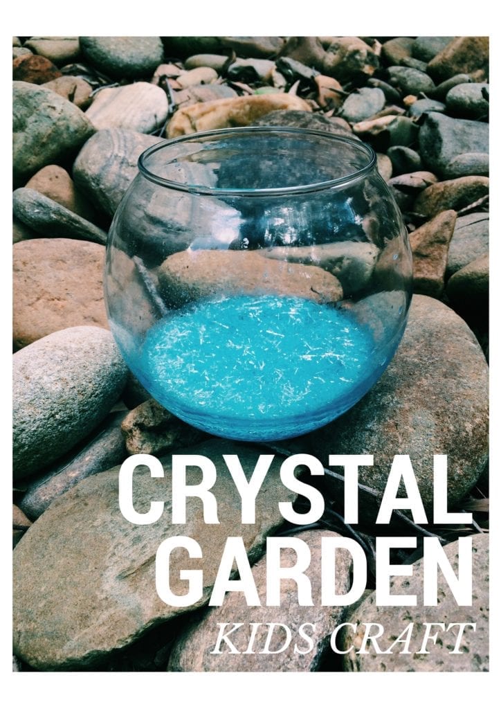 Fun Kids Craft For The Summer: Crystal Garden